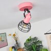 Builako Plafondlamp Roze, Zwart, 1-licht