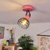 Builako Plafondlamp Roze, Zwart, 1-licht