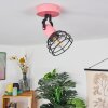 Builako Plafondlamp Roze, Zwart, 1-licht