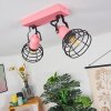 Builako Plafondlamp Roze, Zwart, 2-lichts