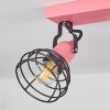 Builako Plafondlamp Roze, Zwart, 2-lichts