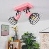 Builako Plafondlamp Roze, Zwart, 2-lichts