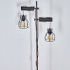 Gondo Staande lamp Natuurlijke kleuren, Zwart, 2-lichts