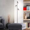 Brilliant-Leuchten Blacky Staande lamp Zwart, 3-lichts