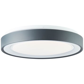 Brilliant-Leuchten Tessy Plafondlamp LED Zwart, 1-licht, Afstandsbediening, Kleurwisselaar