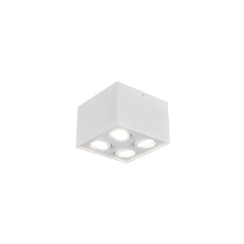 Trio BISCUIT Plafondlamp Wit, 4-lichts