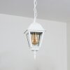 Naofe Buitenhanglamp Wit, 1-licht