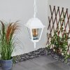 Naofe Buitenhanglamp Wit, 1-licht