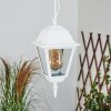 Naofe Buitenhanglamp Wit, 1-licht