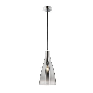 Fischer-Honsel Zeal Hanglamp Chroom, 1-licht