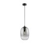 Fischer-Honsel Trace Hanglamp Zwart, 1-licht