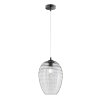 Fischer-Honsel Gordes Hanglamp Zwart, 1-licht