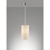 Fischer-Honsel Thor Hanglamp Nikkel mat, 1-licht