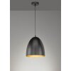 Fischer-Honsel Mylon Hanglamp Zwart, 1-licht