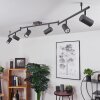 Javel Plafondlamp Bruin, Grijs, houtlook, Zwart, 6-lichts