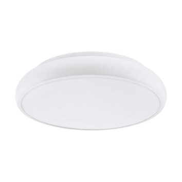 EGLO connect RIODEVA-C Plafondlamp LED Wit, 1-licht, Kleurwisselaar