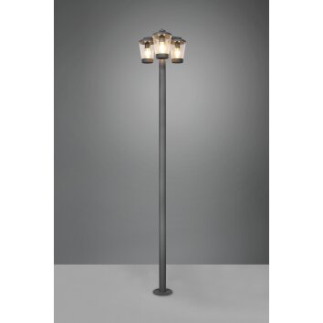 Trio-Leuchten Cavado Padverlichting Antraciet, 3-lichts