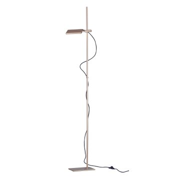 Luce-Design Book Staande lamp LED Goud, 1-licht