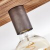 Amnicon Plafondlamp Hout licht, Zwart, 3-lichts