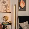 Rodeche Staande lamp LED Goud, 1-licht