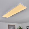 Buenaventura Plafondlamp LED Wit, 1-licht, Afstandsbediening, Kleurwisselaar