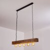 Berat Hanglamp Bruin, Zwart, 5-lichts