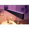 Philips Hue White & Color Ambiance Ensis Hanglamp LED Zwart, 2-lichts, Kleurwisselaar