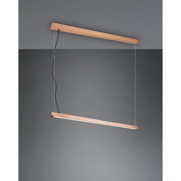 Trio-Leuchten Bellari Hanglamp LED Bruin, 1-licht