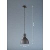 Fischer-Honsel Thor Hanglamp Zwart, 1-licht