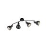 Fischer-Honsel Speedy Plafondlamp Zwart, 4-lichts