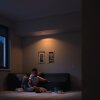 Philips Hue White Ambiance Milliskin Inbouw verlichting LED Wit, 1-licht