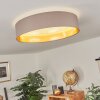 Elsa Plafondlamp LED Wit, 1-licht