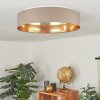 Elsa Plafondlamp LED Wit, 1-licht