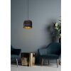 Lucide TOGO Hanglamp Zwart, 1-licht