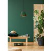 Lucide NOLAN Hanglamp Groen, 1-licht