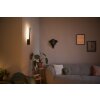 Philips Hue White & Color Ambiance Liane Muurlamp LED Zwart, 1-licht, Kleurwisselaar