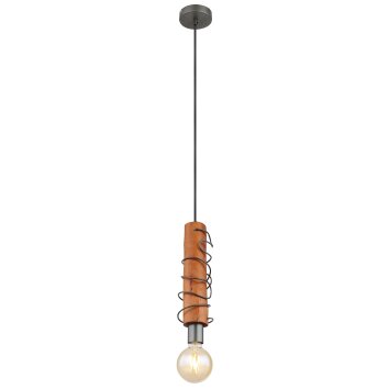 Globo ALICE Hanger Zwart, 1-licht