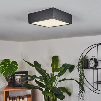 Netstal Plafondlamp LED Antraciet, 1-licht