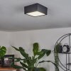 Netstal Plafondlamp LED Antraciet, 1-licht