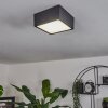 Netstal Plafondlamp LED Antraciet, 1-licht