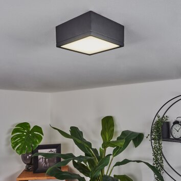 Netstal Plafondlamp LED Antraciet, 1-licht