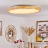 Bagaha Plafondlamp LED Bruin, houtlook, 1-licht, Afstandsbediening