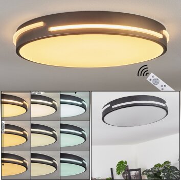 Seewen Plafondlamp LED Zwart, Wit, 1-licht, Afstandsbediening