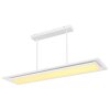 Globo MURPHY Hanger LED Wit, 1-licht, Afstandsbediening, Kleurwisselaar