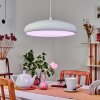 Rhone Hanger LED Wit, 1-licht, Kleurwisselaar