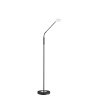 Fischer-Honsel Dent Staande lamp LED Zwart, 1-licht