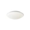 Fischer-Honsel Clara Plafondlamp LED Wit, 1-licht