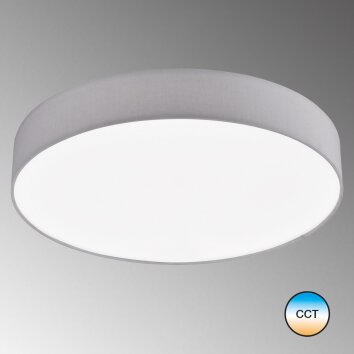 SCHÖNER-WOHNEN-Kollektion Pina Plafondlamp LED Wit, 1-licht, Afstandsbediening