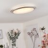 Sapioris Plafondlamp LED Zilver, 1-licht