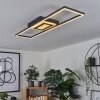 Taleta Plafondlamp LED Zwart, 1-licht